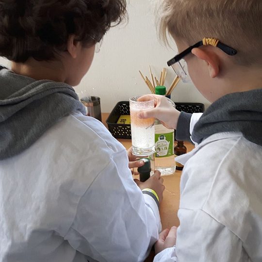 forte activiteiten