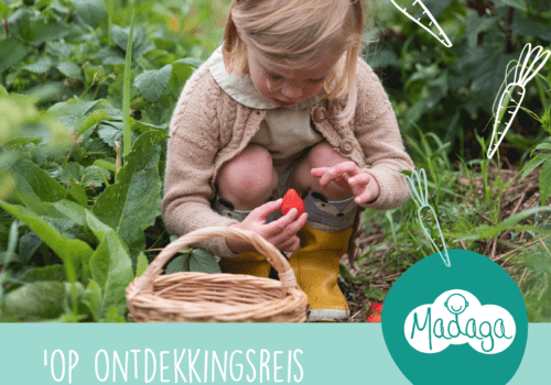 Biologische, warme maaltijden Biologische, warme maaltijden