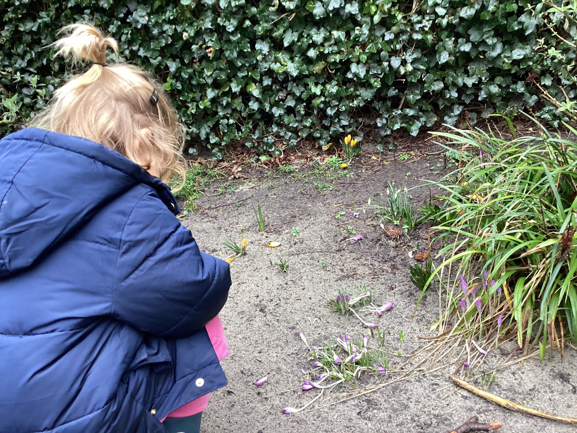 Dag van de Groene Kinderopvang