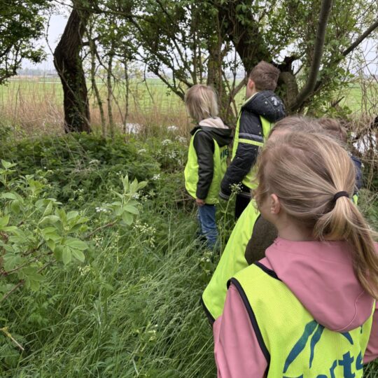 Het Forte Eiland: BSO De Pauw op verkenning!
