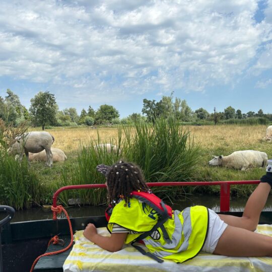 Op expeditie naar het Forte Avonturen Eiland!